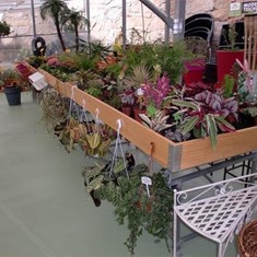 MESA DE CULTIVO
