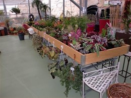 MESA DE CULTIVO